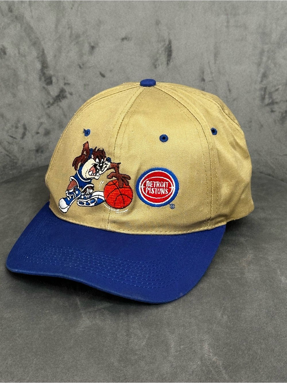 Vintage 1994 Detroit Pistons Taz Looney Tunes Hat Rare NBA Snapback Cap